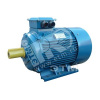 Электродвигатель 5АИ 250 М4 90/1500 IM 1001