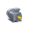 Электродвигатель общепромышленный трехфазный ESQ PR 160 S4 GST-Б1-S12-IE2 15/1500 IM 1001