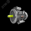 Электродвигатель трехфазный асинхронный OMTG-RT 250S-6 45 кВт 1000 об/мин 380/660В IM2081 IP55 S1 IC