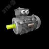 Электродвигатель трехфазный асинхронный OMT4-RT 63A4 0,12 кВт 1500 об/мин IM 3681 220/380 В IP55 IE1