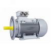 Электродвигатель общепромышленный ESQ PR 132 S4-SDN-Б1-S12-IE3 5.5/1500  IM B35