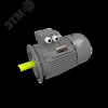 Электродвигатель трехфазный асинхронный OMTG-RT 180S2 22 кВт 3000 об/мин 380/660В IM3081 IP55 S1 IC4