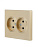 VESNA Розетка двойная б/з ПБТ золото