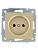 VESNA Розетка б/з ПБТ золото