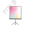 Экран на штативе переносной, компактный 116'' Eco View, 4:3, Matte White