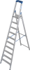 Стремянка со ступенями R13 1x10