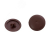 Заглушка на шуруп с крестообразным шлицем PZ 2 коричневая (100 шт.)