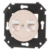 Розетка двойная компьютерная механизм + накладка, цвет Песочное золото матовый с/у
