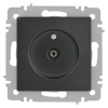 Розетка Intro Accent 6-301-07 TV одиночная, IP20, СУ, графит