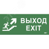 Этикетка самокл. 330х140мм Выход/лест. вверх/фигура IEK