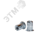 Заклепка резьбовая с плоским бортиком M10(13) B:19 (250)