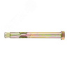 Болт анкерный 10х100 накл. цинк. Tech-Krep 117966