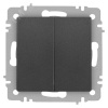 Переключатель Intro Accent 6-107-07 двойной, 10А-250В, IP20, СУ, AL/CU, графит