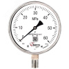 Манометр ДМ8008-ВУф Кс исп 2 0-60 МПа кт.1,0 d.160 IP65 M20*1,5 РШ SG Б/запол