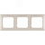 Valena Сл. кость Рамка 3-ая гориз | 774353 | Legrand