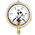 Манометр ДМ2005ф Сг 1Exd исп V 0-10 МПа кт.1.5 d.160 IP54 M20х1.5 РШ