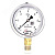Манометр ДМ8008-ВУф 0-6 МПа кт.1.0 d.100 IP54 M20*1.5 РШ ВуГл