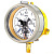 Манометр ДМ2005ф Сг 1Exd исп V 0-1.6 МПа кт.1.5 d.160 IP54 M20х1.5 РШ