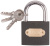 Замок навесной железный 50 мм Замок навесной железный 50 мм