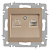 Розетка Intro Accent 6-303-04 информационная RJ45, IP20, СУ, шампань