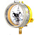 Манометр ДМ2005ф Сг 1Exd исп V 0-40 МПа кт.1.5 d.160 IP54 M20х1.5 РШ