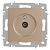Розетка Intro Accent 6-301-04 TV одиночная, IP20, СУ, шампань